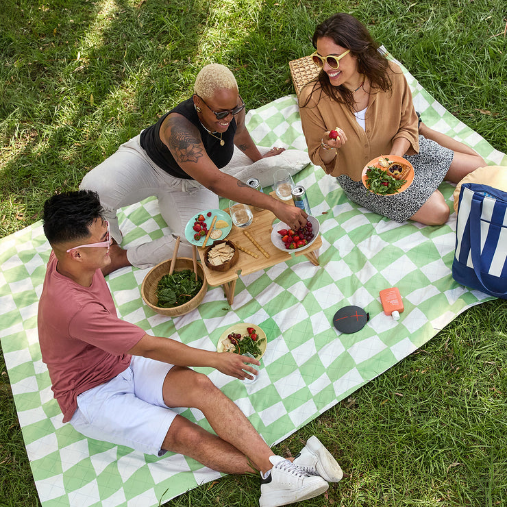 dock and bay picnic blanket