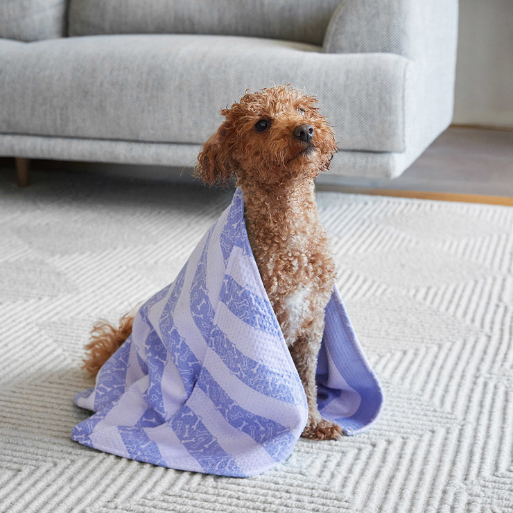 dock and bay dog towels