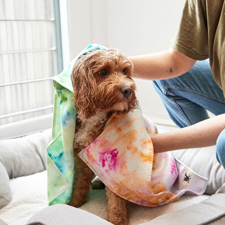 dock and bay dog towels