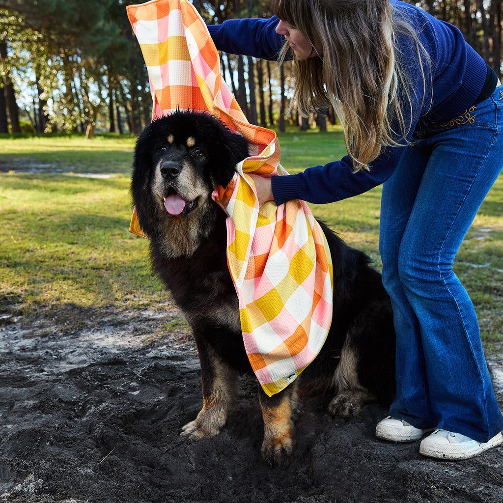 dock and bay towels dog