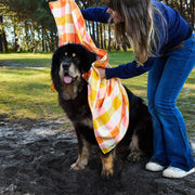 dock and bay towels dog